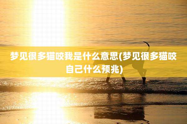 梦见很多猫咬我是什么意思(梦见很多猫咬自己什么预兆)