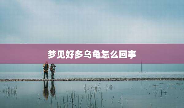 梦见好多乌龟怎么回事