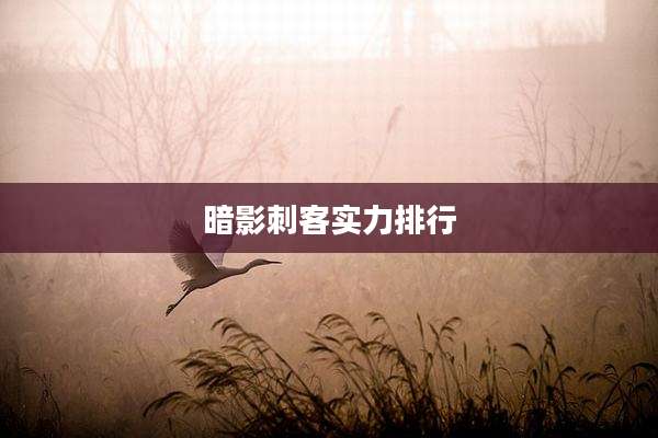 暗影刺客实力排行