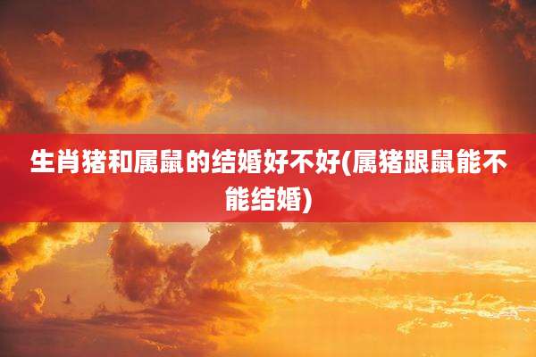 生肖猪和属鼠的结婚好不好(属猪跟鼠能不能结婚)