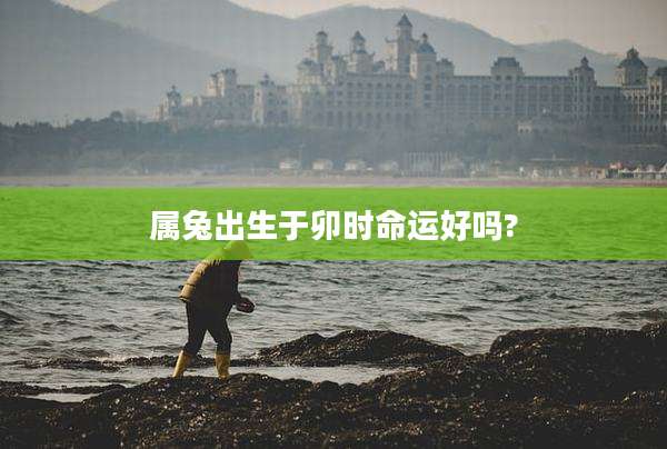 属兔出生于卯时命运好吗?