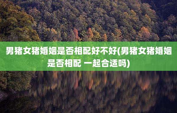 男猪女猪婚姻是否相配好不好(男猪女猪婚姻是否相配 一起合适吗)