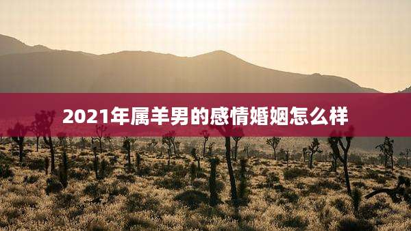 2021年属羊男的感情婚姻怎么样