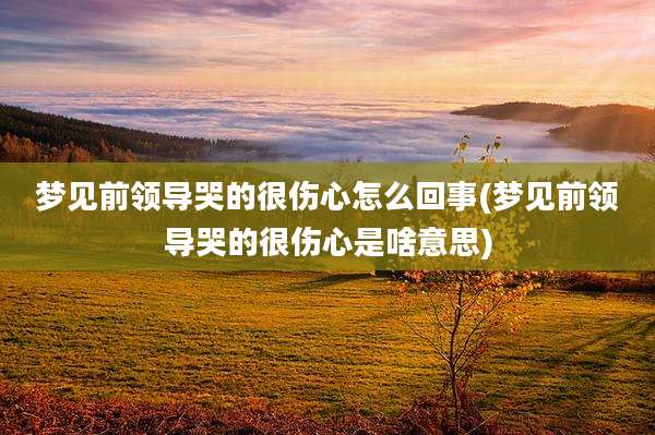 梦见前领导哭的很伤心怎么回事(梦见前领导哭的很伤心是啥意思)