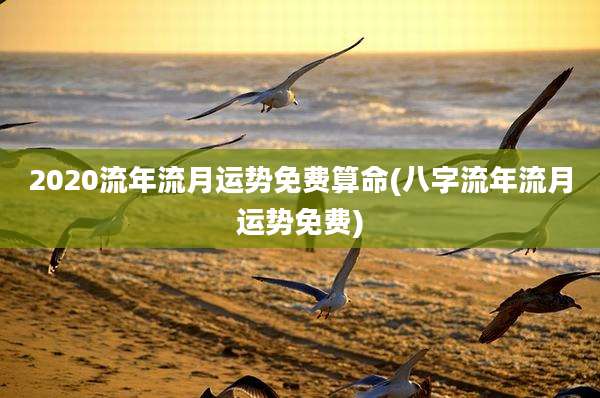 2020流年流月运势免费算命(八字流年流月运势免费)