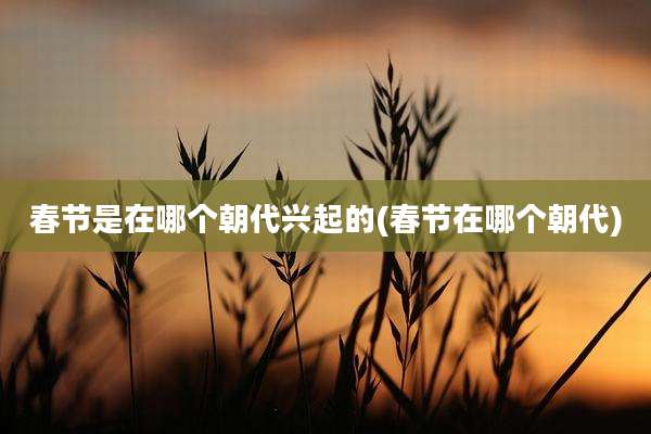 春节是在哪个朝代兴起的(春节在哪个朝代)