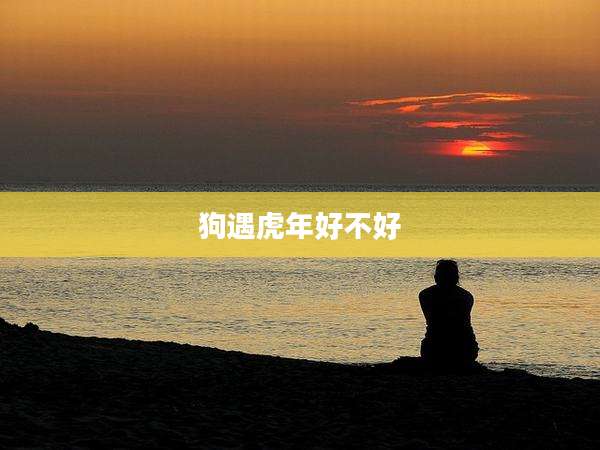 狗遇虎年好不好