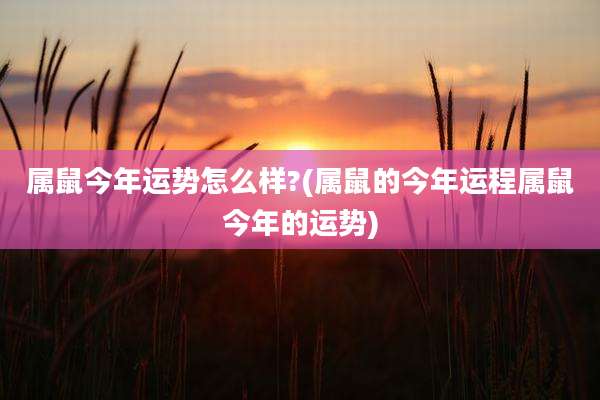 属鼠今年运势怎么样?(属鼠的今年运程属鼠今年的运势)