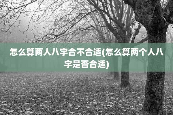 怎么算两人八字合不合适(怎么算两个人八字是否合适)