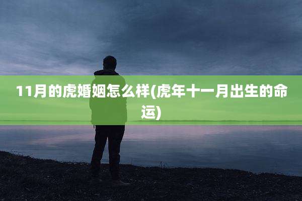 11月的虎婚姻怎么样(虎年十一月出生的命运)