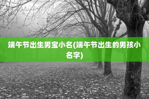 端午节出生男宝小名(端午节出生的男孩小名字)