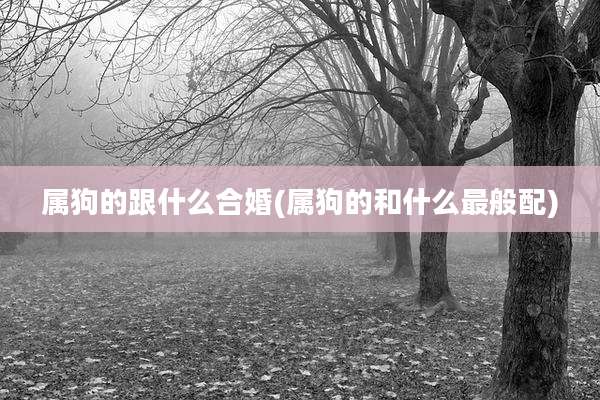 属狗的跟什么合婚(属狗的和什么最般配)