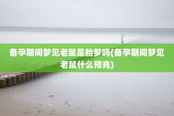 备孕期间梦见老鼠是胎梦吗(备孕期间梦见老鼠什么预兆)