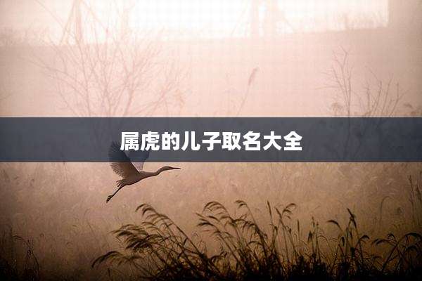属虎的儿子取名大全