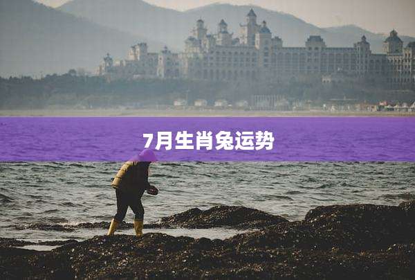 7月生肖兔运势