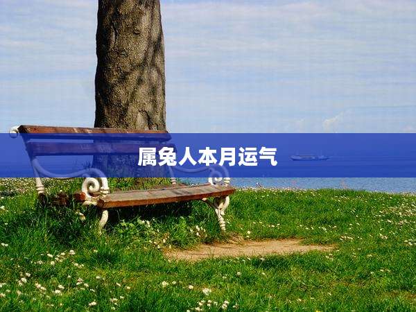 属兔人本月运气