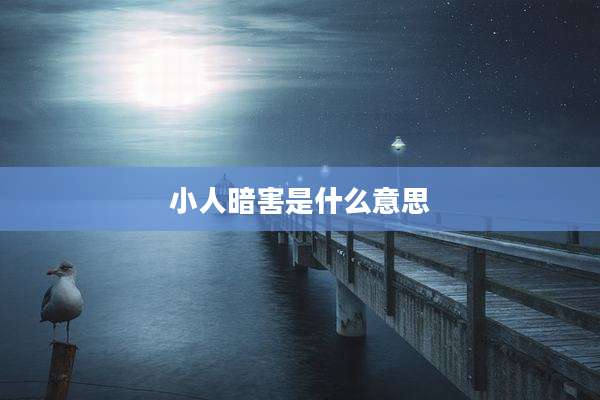 小人暗害是什么意思