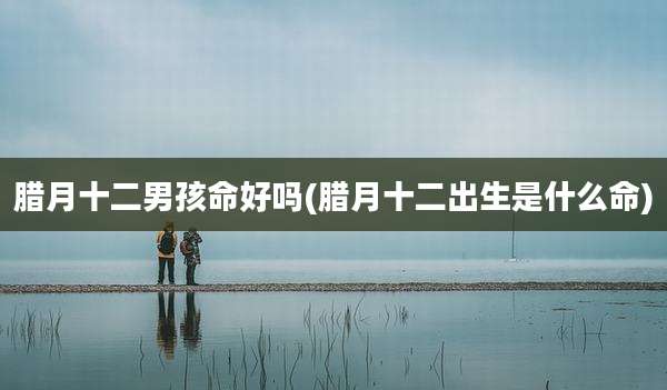 腊月十二男孩命好吗(腊月十二出生是什么命)