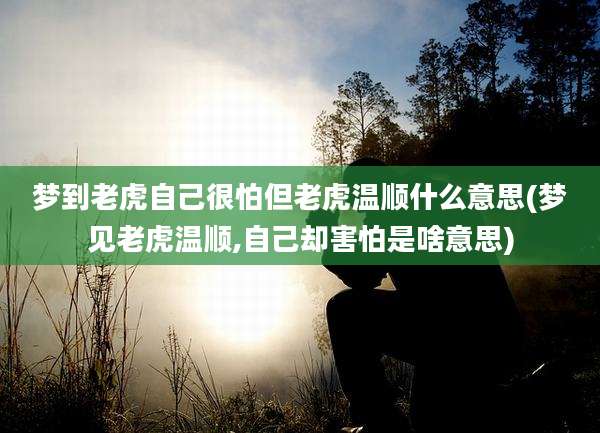 梦到老虎自己很怕但老虎温顺什么意思(梦见老虎温顺,自己却害怕是啥意思)