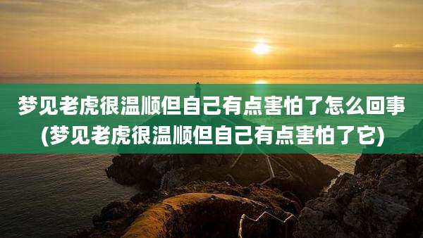 梦见老虎很温顺但自己有点害怕了怎么回事(梦见老虎很温顺但自己有点害怕了它)