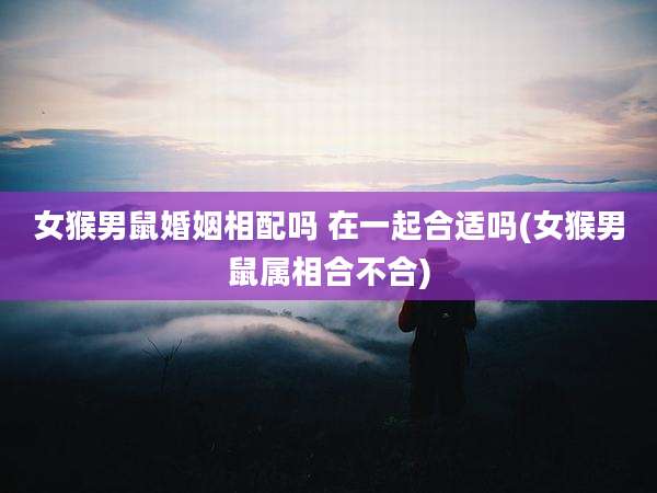 女猴男鼠婚姻相配吗 在一起合适吗(女猴男鼠属相合不合)