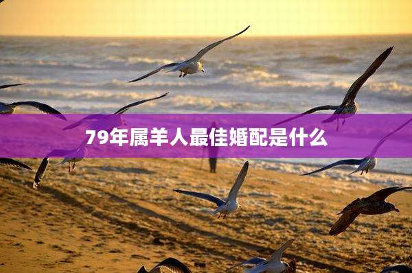 79年属羊人最佳婚配是什么
