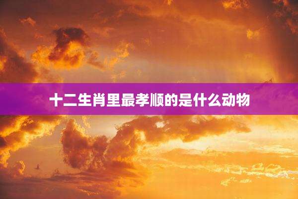 十二生肖里最孝顺的是什么动物