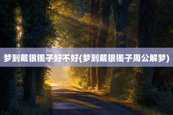 梦到戴银镯子好不好(梦到戴银镯子周公解梦)