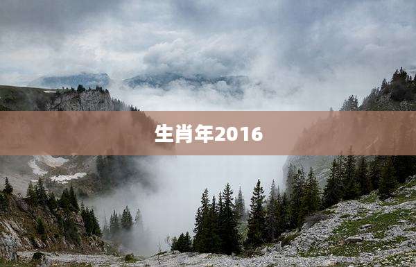 生肖年2016
