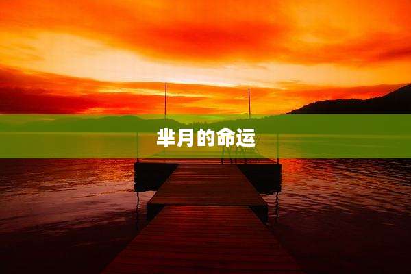 芈月的命运