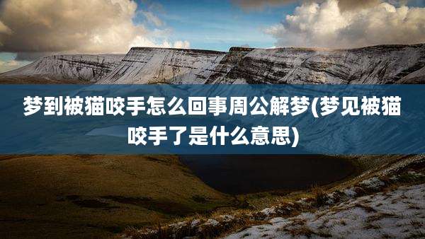 梦到被猫咬手怎么回事周公解梦(梦见被猫咬手了是什么意思)