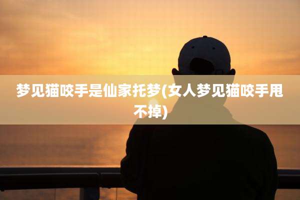 梦见猫咬手是仙家托梦(女人梦见猫咬手甩不掉)