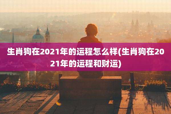 生肖狗在2021年的运程怎么样(生肖狗在2021年的运程和财运)