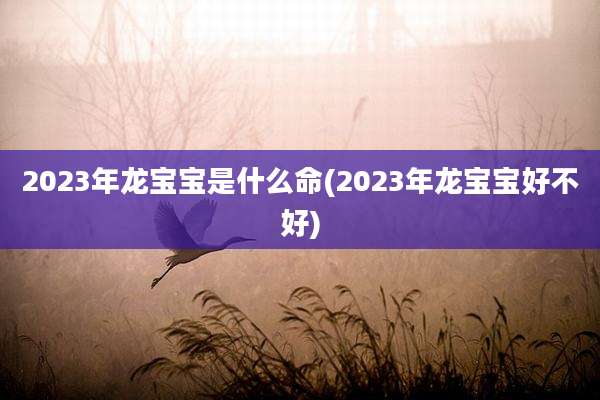 2023年龙宝宝是什么命(2023年龙宝宝好不好)