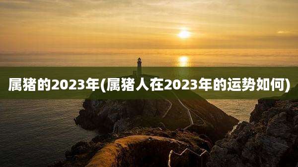 属猪的2023年(属猪人在2023年的运势如何)