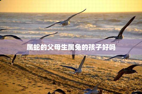 属蛇的父母生属兔的孩子好吗