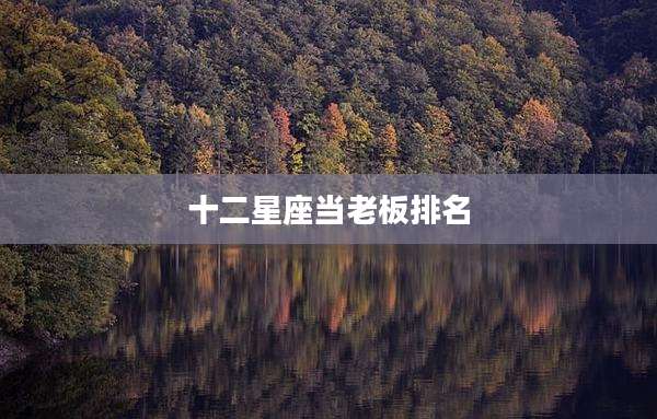 十二星座当老板排名