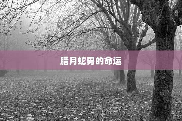 腊月蛇男的命运