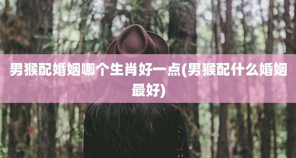 男猴配婚姻哪个生肖好一点(男猴配什么婚姻最好)