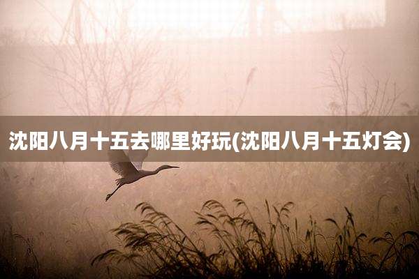 沈阳八月十五去哪里好玩(沈阳八月十五灯会)