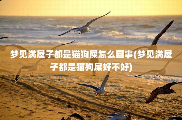 梦见满屋子都是猫狗屎怎么回事(梦见满屋子都是猫狗屎好不好)