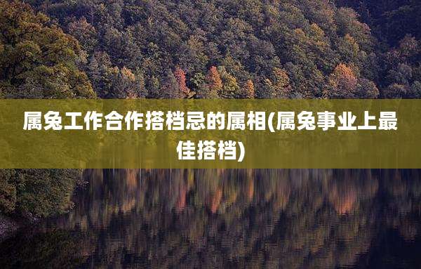 属兔工作合作搭档忌的属相(属兔事业上最佳搭档)