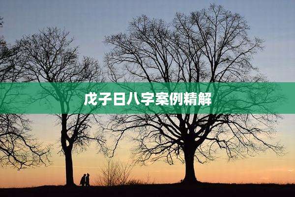 戊子日八字案例精解