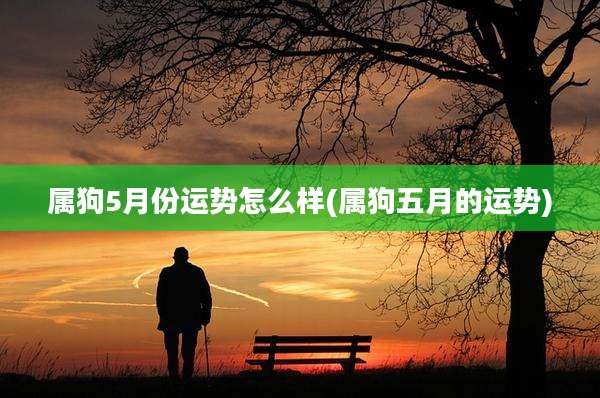属狗5月份运势怎么样(属狗五月的运势)