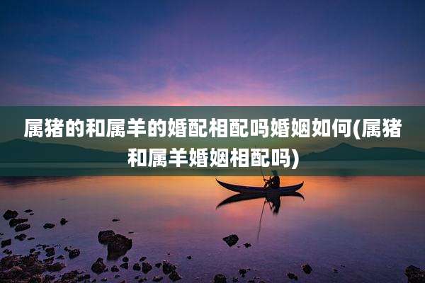 属猪的和属羊的婚配相配吗婚姻如何(属猪和属羊婚姻相配吗)