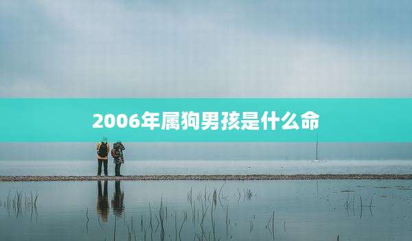 2006年属狗男孩是什么命