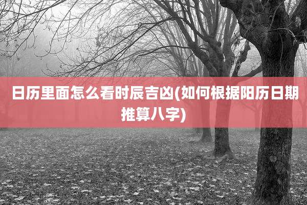 日历里面怎么看时辰吉凶(如何根据阳历日期推算八字)
