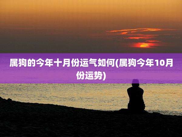 属狗的今年十月份运气如何(属狗今年10月份运势)