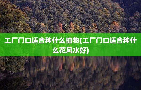 工厂门口适合种什么植物(工厂门口适合种什么花风水好)