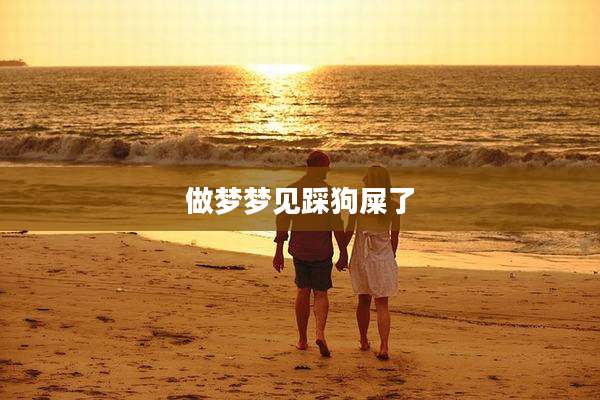 做梦梦见踩狗屎了